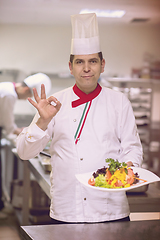 Image showing Chef showing a plate of tasty meal