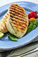 Image showing Grilled chicken breasts