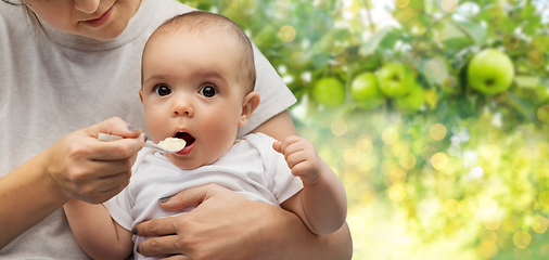 Image showing close up of mother with spoon feeding little baby