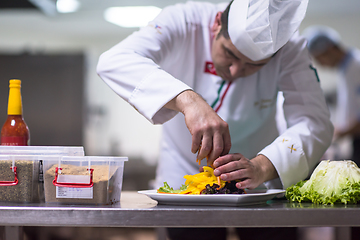 Image showing chef serving vegetable salad