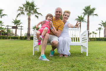 Image showing portrait of young happy family