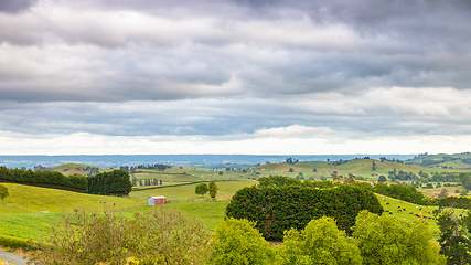 Image showing sunset landscape New Zealand north island