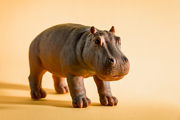 Image showing hippopotamus figure isolated on red background