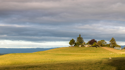 Image showing sunset landscape New Zealand north island