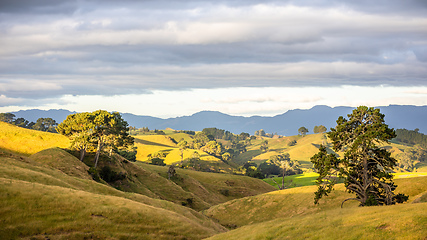 Image showing sunset landscape New Zealand north island