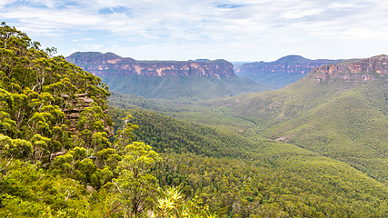 Image showing the Blue Mountains Australia panorama