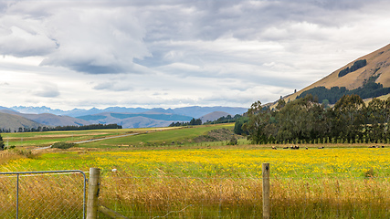 Image showing Landscape scenery in south New Zealand