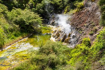 Image showing volcanic activities at waimangu