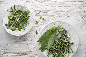 Image showing Healthy spring plants food ingredients