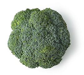Image showing fresh raw broccoli