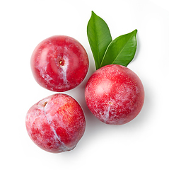 Image showing fresh red plums