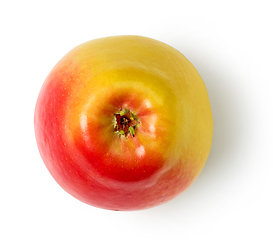 Image showing fresh ripe apple