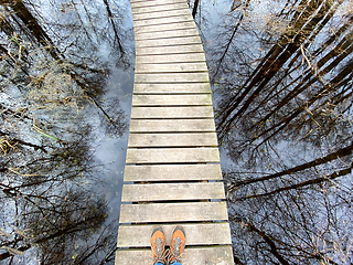 Image showing wooden footbridge through the lake nature trail