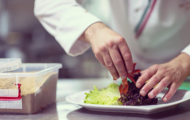 Image showing chef serving vegetable salad