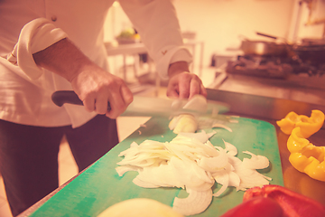 Image showing Chef hands cutting fresh and delicious vegetables