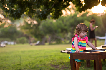 Image showing little girl spending time at backyard