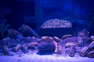 Image showing empty aquarium decor