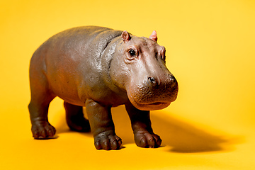 Image showing hippopotamus figure isolated on red background