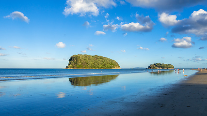 Image showing Bay Of Plenty