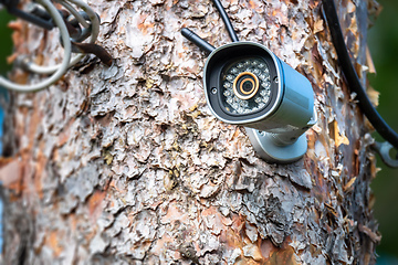 Image showing cctv camera at a tree