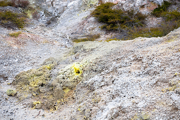 Image showing geothermal activity at Rotorua in New Zealand