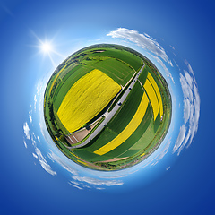 Image showing little planet rural rape fields and road