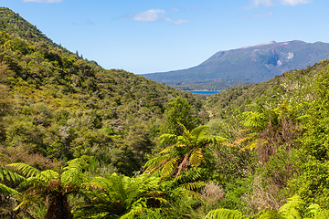 Image showing volcanic activities at waimangu