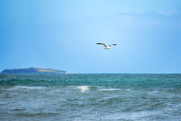 Image showing seagull flying over the ocean