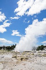 Image showing Geyser in New Zealand Rotorua