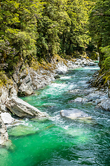 Image showing Haast River Landsborough Valley New Zealand