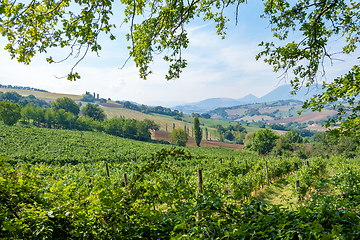 Image showing nice view in Italy Marche near Camerino