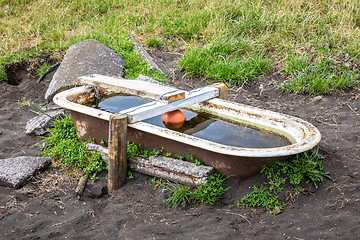 Image showing an old tub for animals potions