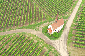 Image showing aerial view vineyard scenery at Kaiserstuhl Germany