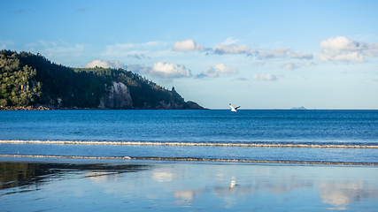 Image showing Bay Of Plenty