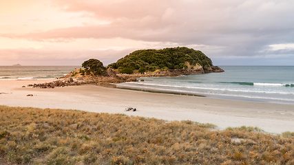 Image showing Bay Of Plenty