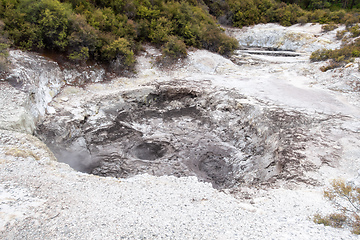 Image showing geothermal activity at Rotorua in New Zealand