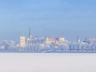 Image showing Winter skyline of Latvian capital Riga Old town