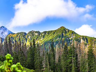 Image showing Polish Tatra mountains summer landscape with blue sky and white clouds.