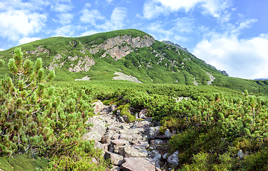 Image showing Tourist hiking trail in the Polish Tatra Mountains.