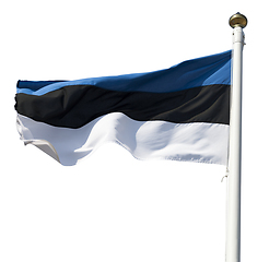 Image showing Estonia flag cutout on white