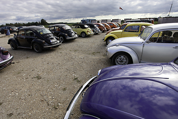 Image showing VW Beetle cars