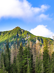 Image showing Polish Tatra mountains summer landscape with blue sky and white clouds.