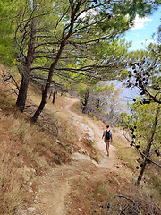 Image showing Young active feamle tourist wearing small backpack walking on co