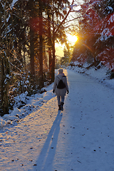 Image showing Woman hiking on snow in white winter forest berore the sunset. Recreation and healthy lifestyle outdoors in nature