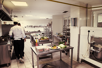 Image showing team cooks and chefs preparing meals