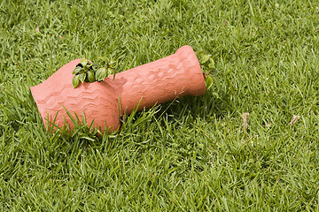 Image showing Pot in the grass