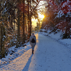 Image showing Woman hiking on snow in white winter forest berore the sunset. Recreation and healthy lifestyle outdoors in nature