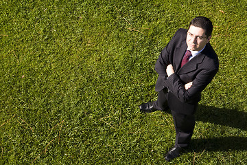 Image showing Businessman in the grass