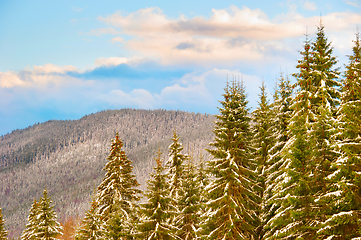 Image showing Beautiful winter landscape