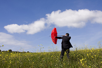 Image showing The insurance agent